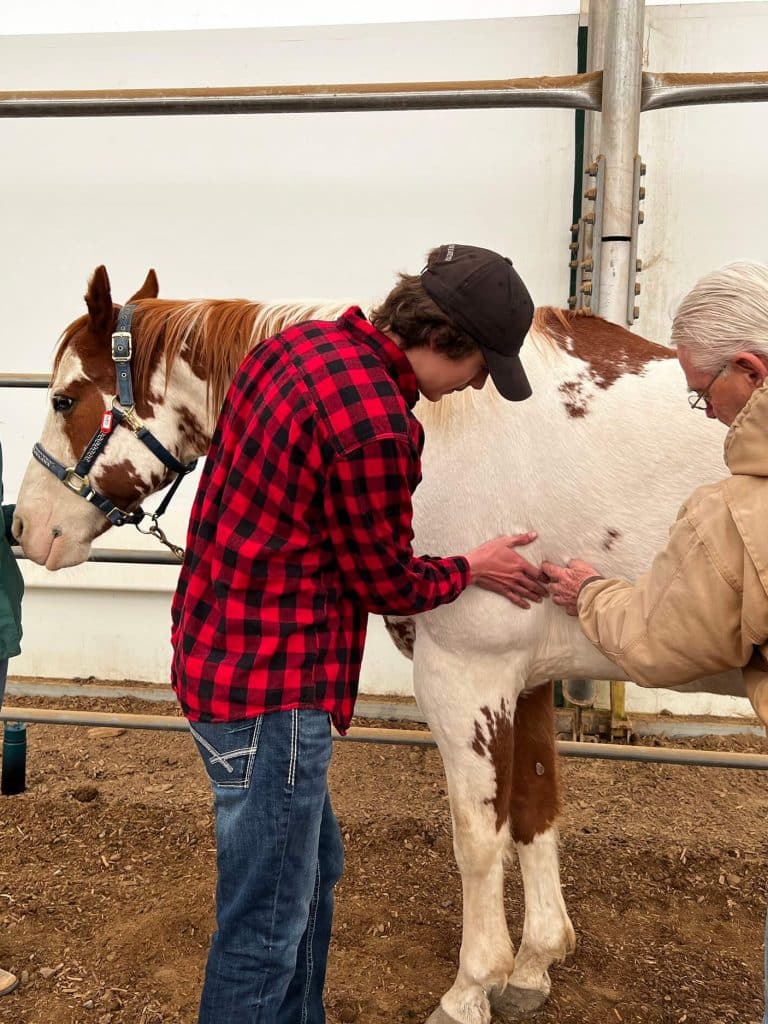 Geary Whiting's Equine Massage School - Horse and Rider Teaching in California