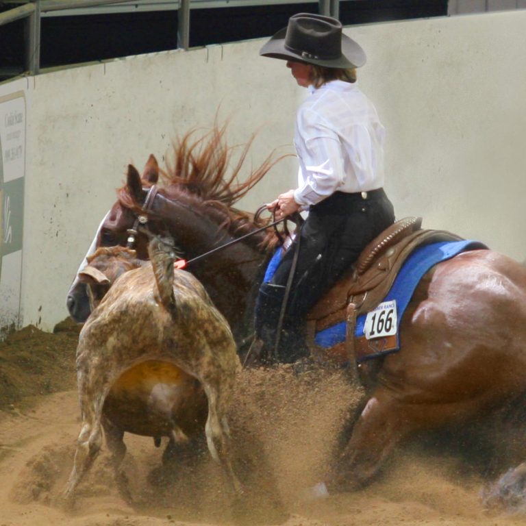 Geary Whiting's Equine Massage Academy in Paso Robles, CA - Sandy Collier