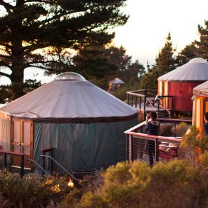 Geary Whiting's Equine Massage Academy - Treebones Yurt Resort - Big Sur, CA