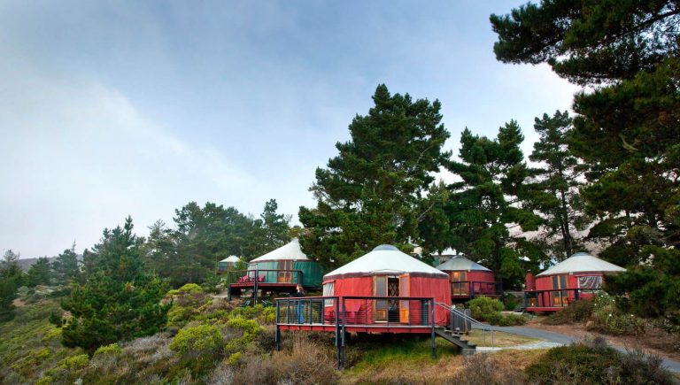 Geary Whiting's Equine Massage Academy - Treebones Yurt Resort - Big Sur, CA