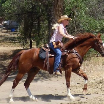 Geary Whiting's Equine Massage Academy - Berta Delight Pinon Charlie's Moment