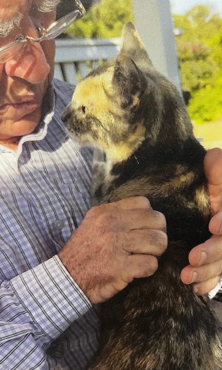 Geary Whiting's Equine Massage Academy - Cat Massage