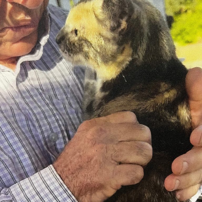 Geary Whiting's Equine Massage Academy - Cat Massage
