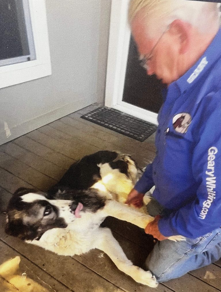 Geary Whiting's Equine Massage Academy - Dog Massage