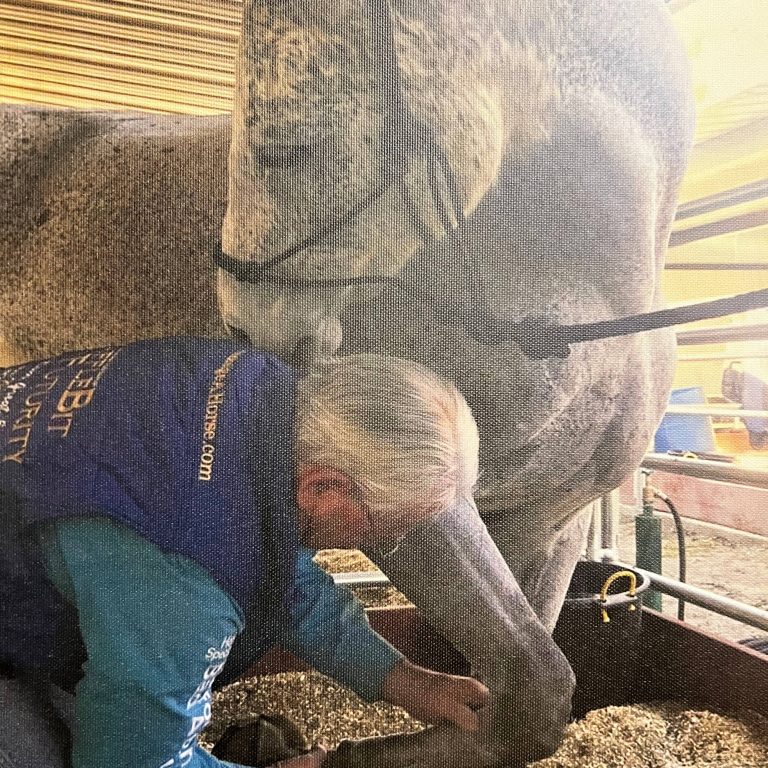 Geary Whiting's Equine Massage Academy - Horse Massage