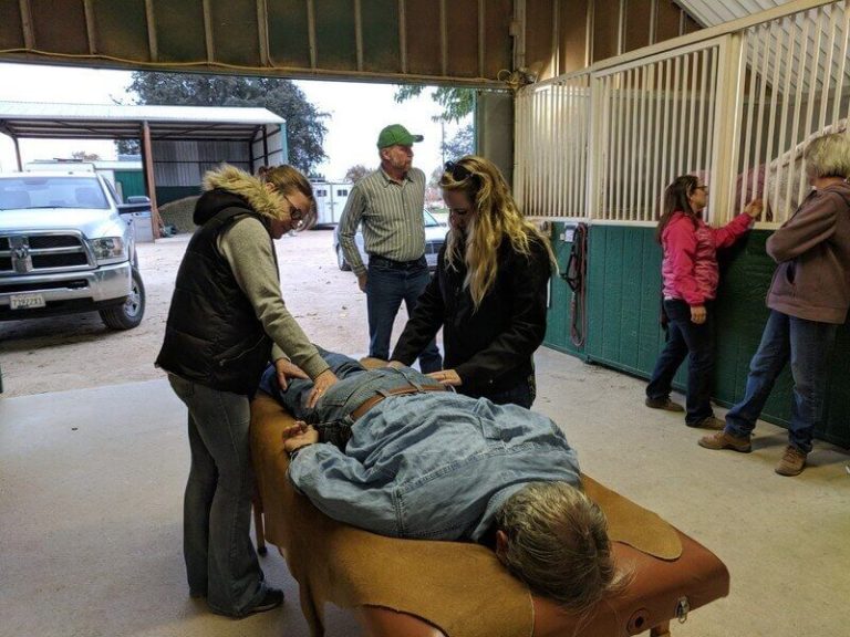 Geary Whiting's Equine Massage Academy - Human Massage