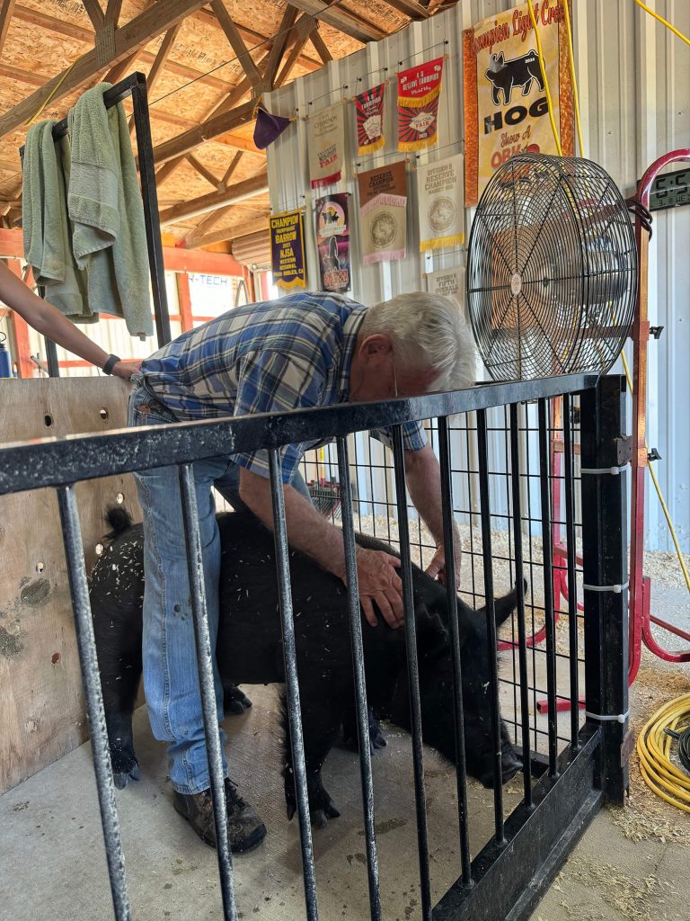 Geary Whiting's Equine Massage Academy - Pig Massage