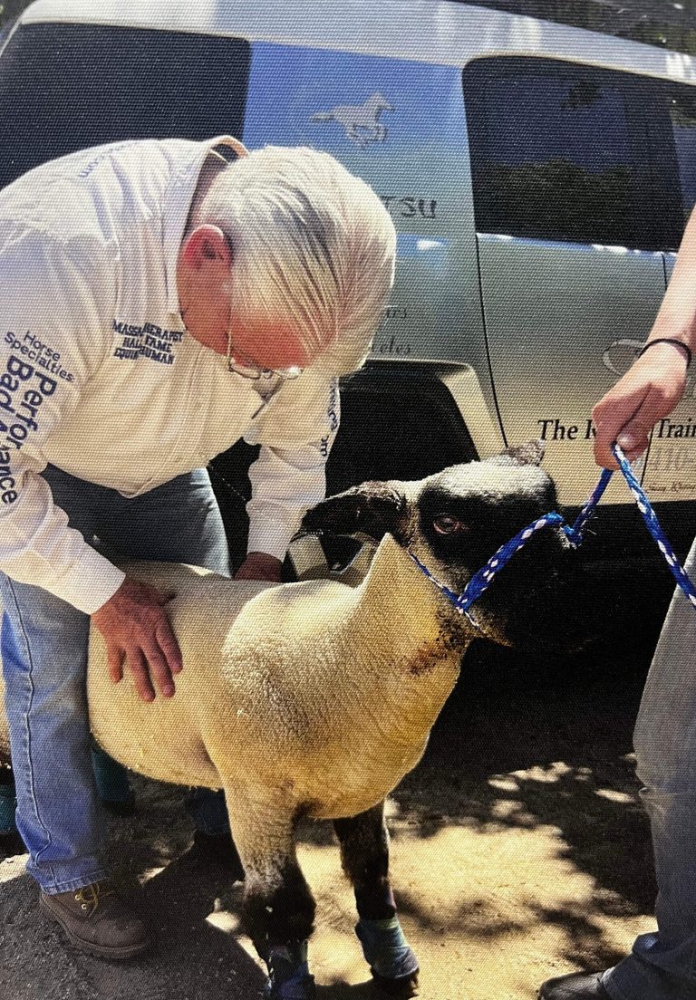 Geary Whiting's Equine Massage Academy - Sheep Massage