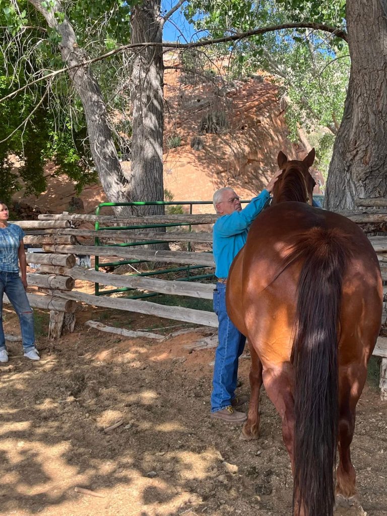 Geary Whiting's Equine Massage Academy - Students with Horse in Paso Robles, CA