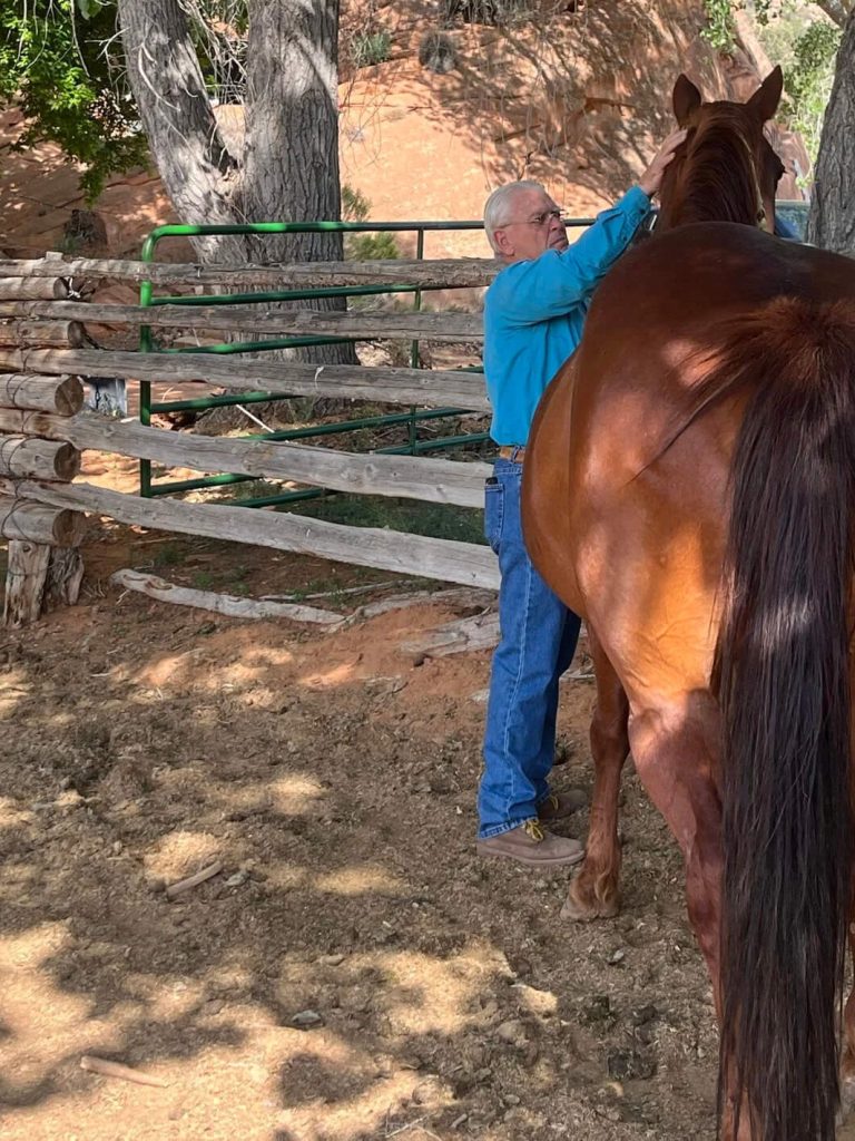 Geary Whiting's Equine Massage Academy - Students with Horse - Paso Robles, California