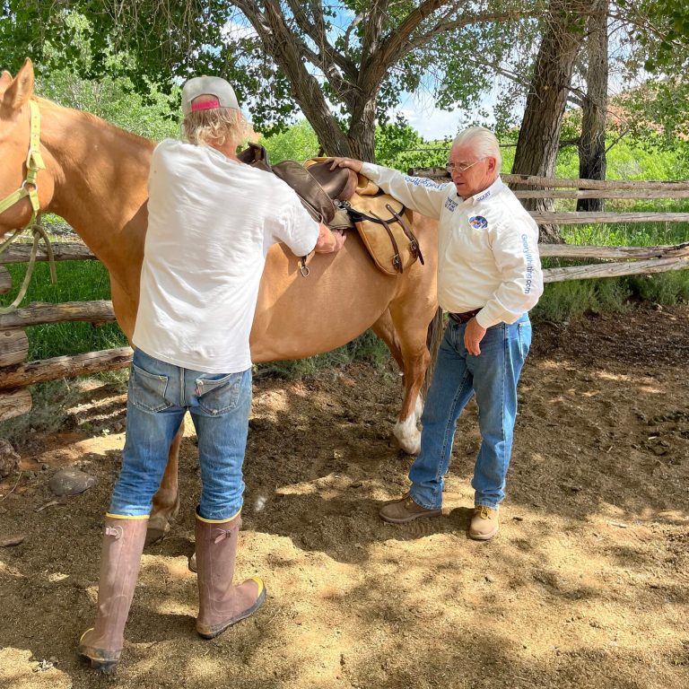 Geary Whiting's Equine Massage Academy - Equine Nutrition and Shiatsu Massage