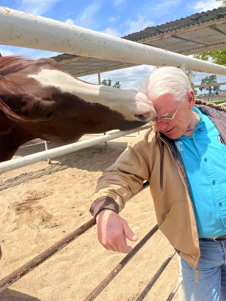 Geary Whiting's Equine Massage Academy - Enrollment Options
