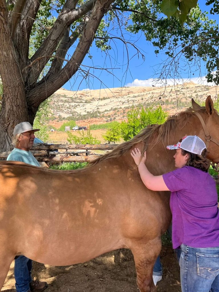 Geary Whiting's Equine Massage School - Equine Athletes - Paso Robles, California