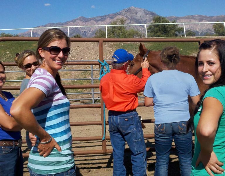 Geary Whiting's Equine Massage School - Equine Massage Certification in California