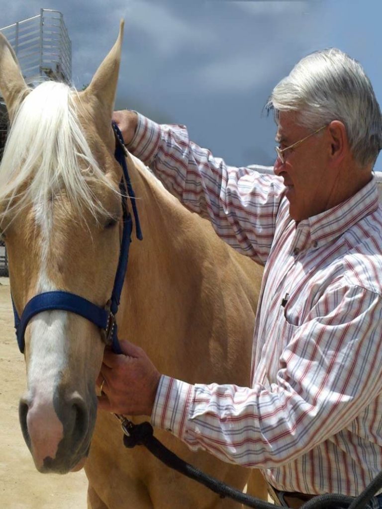 Geary Whiting's Equine Massage School - Happy Horse - Paso Robles, California