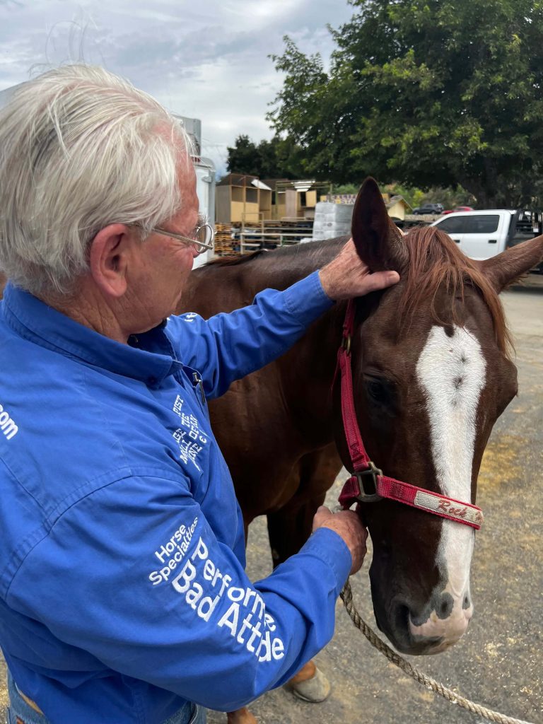 Geary Whiting's Equine Massage School - Horse Massage Training - Paso Robles, California