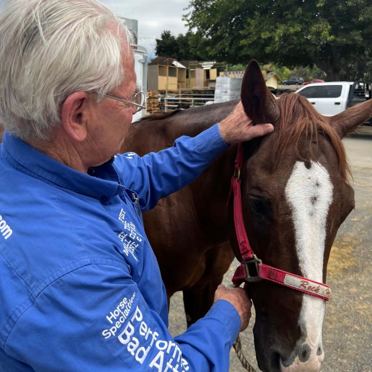 Geary Whiting's Equine Massage School - Horse Massage Training - Paso Robles, California