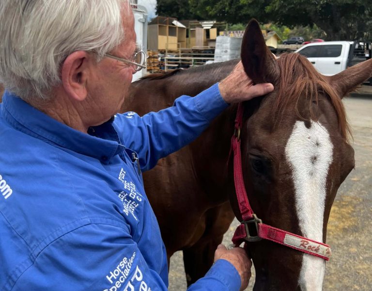 Geary Whiting's Equine Massage School - Horse Massage Training - Paso Robles, California