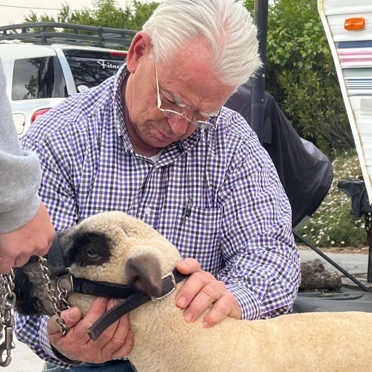Geary Whiting's Equine Massage School - Lamb Massage - Paso Robles, California