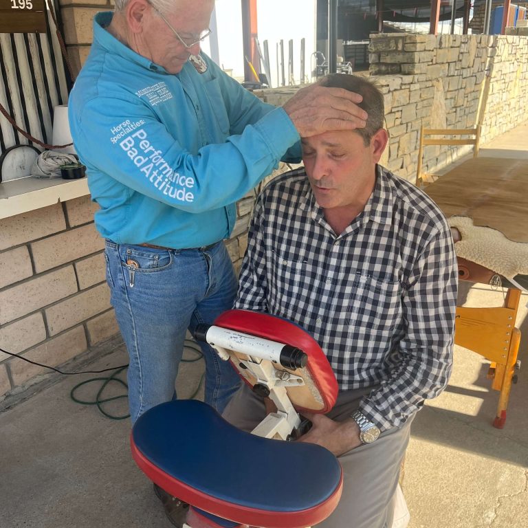 Geary Whiting's Equine Massage School - Shiatsu Massage Techniques - Paso Robles, California