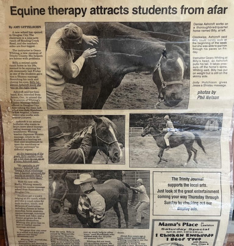 billy, shiatsu horse massage, california