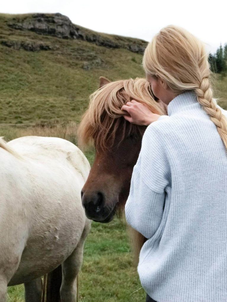 equine massage academy horse healing