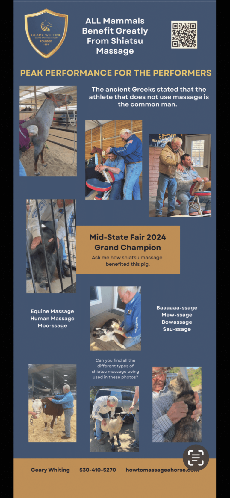 shiatsu massage for all mammals